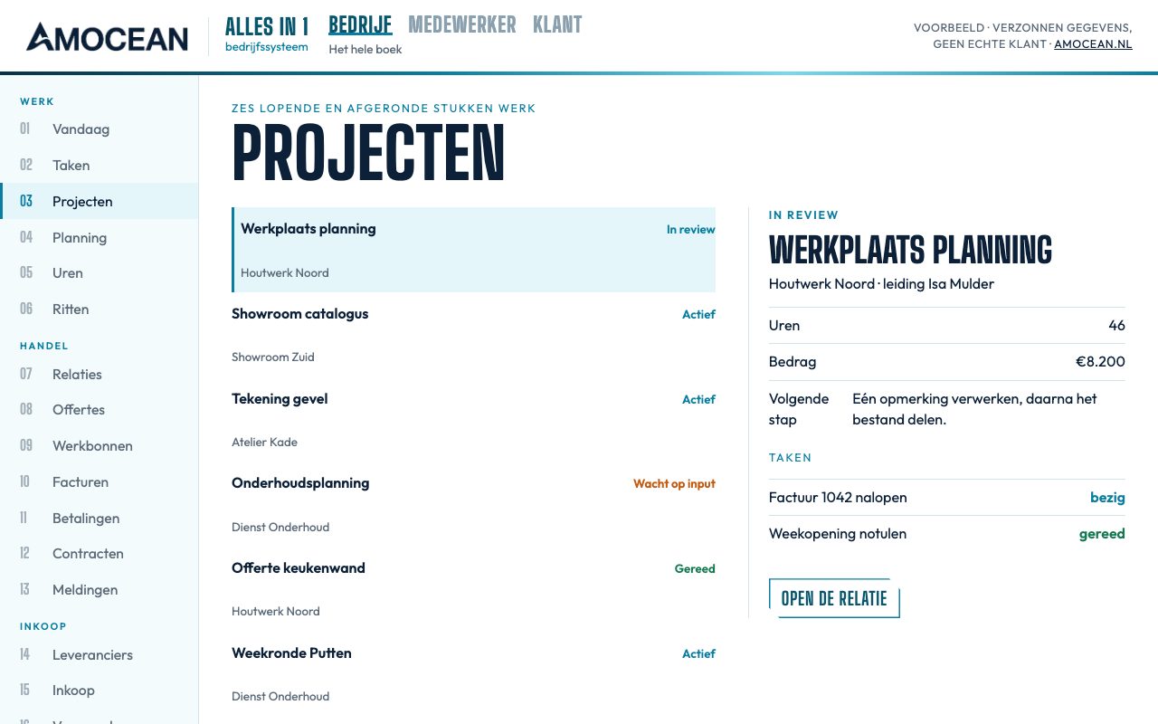 Voorbeeldportaal Amocean Alles-in-1, scherm Projecten